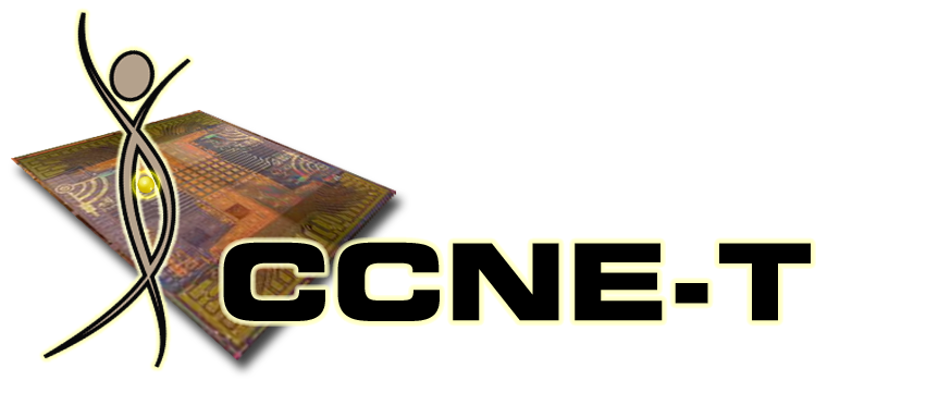 CCNE-TD logo