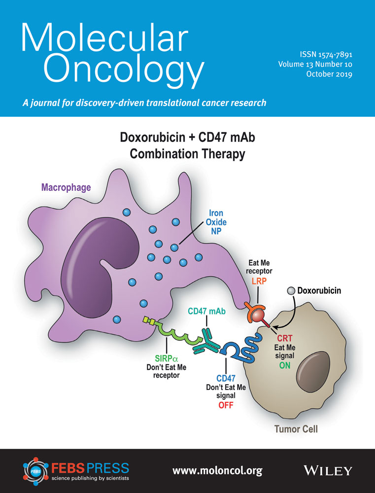 Cover illustration for the journal Molecular Oncology