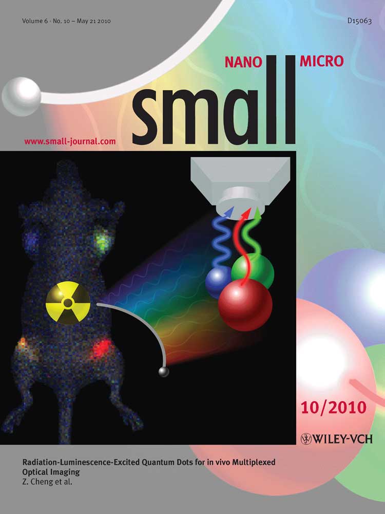 Cover illustration for the journal Small