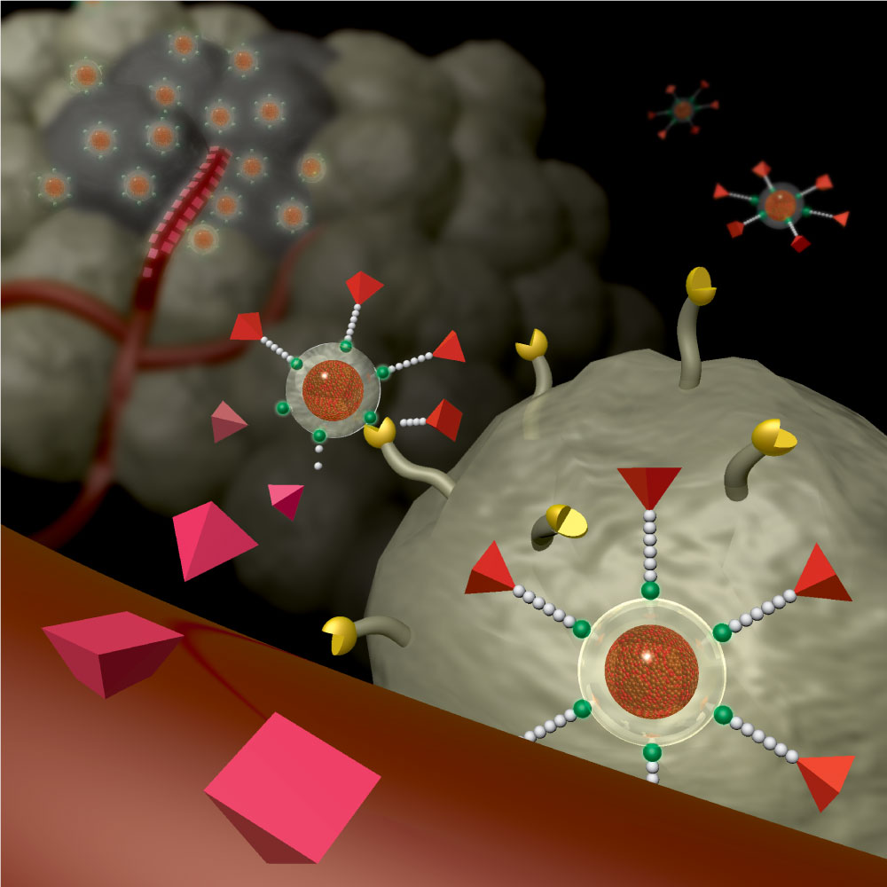 Illustration of theranostic nanoparticle prodrug