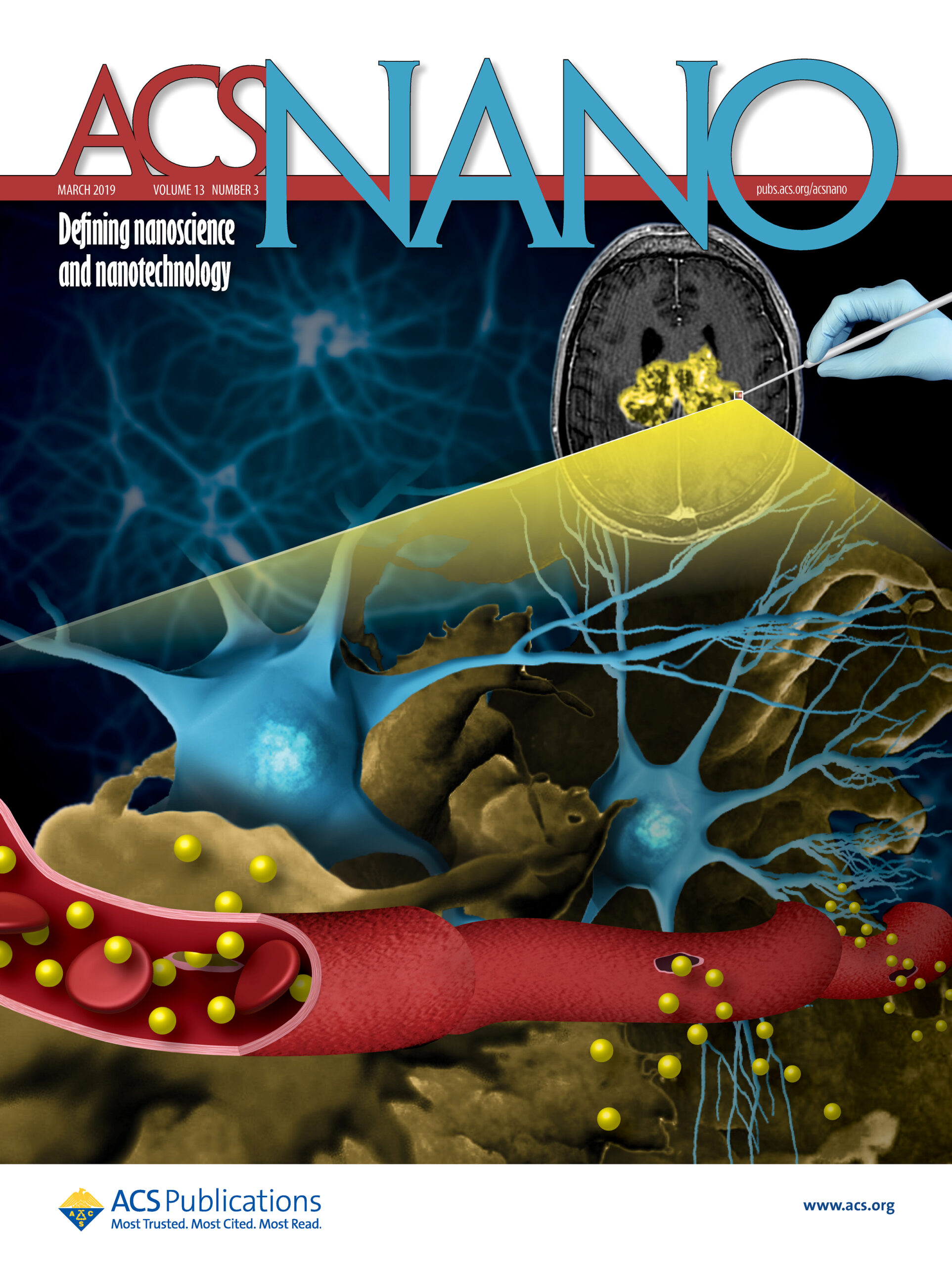 Cover for the journal ACSNano, vol 13, n 3